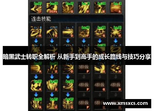暗黑武士转职全解析 从新手到高手的成长路线与技巧分享