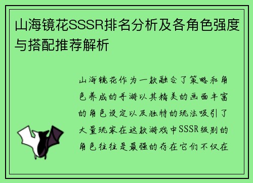 山海镜花SSSR排名分析及各角色强度与搭配推荐解析